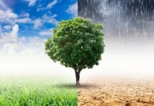 Cambiamento climatico cause, conseguenze, rimedi