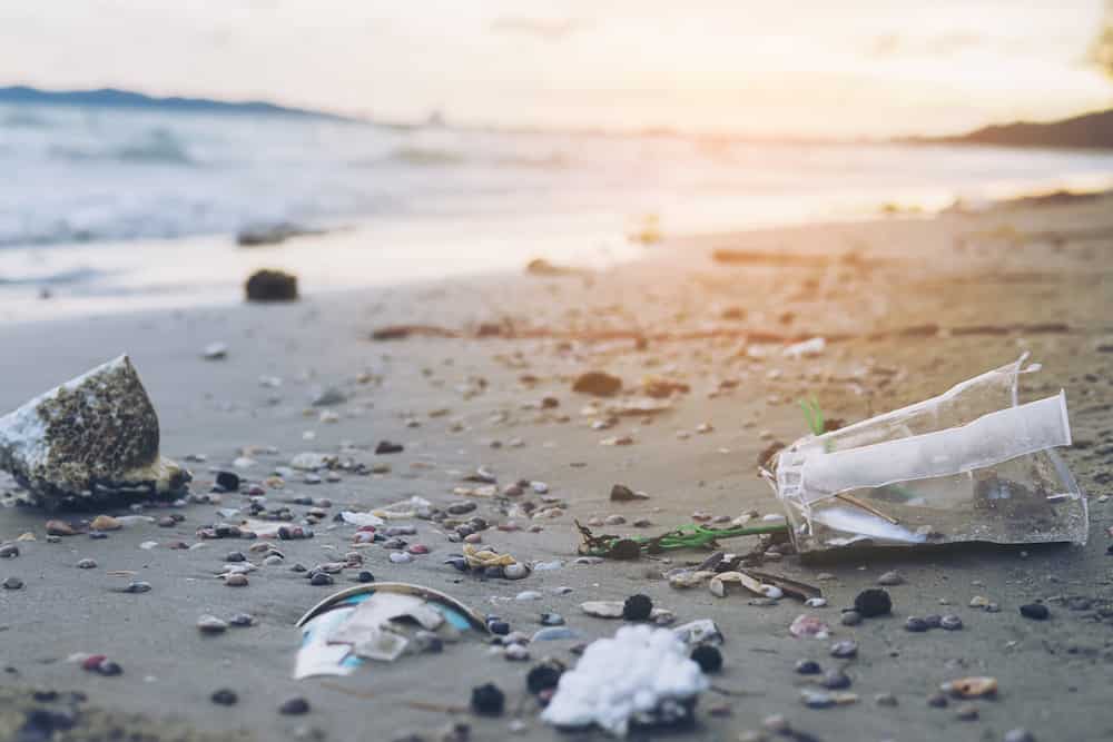 raccolta plastic free Urbino