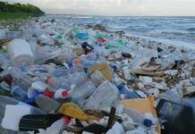 Inquinamento da plastica