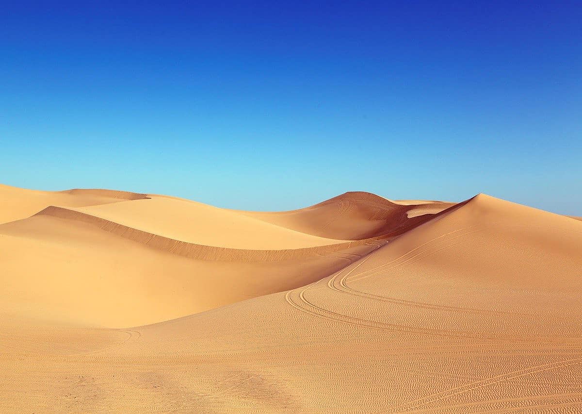 biomi o ambienti naturali