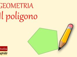geometria - il poligono