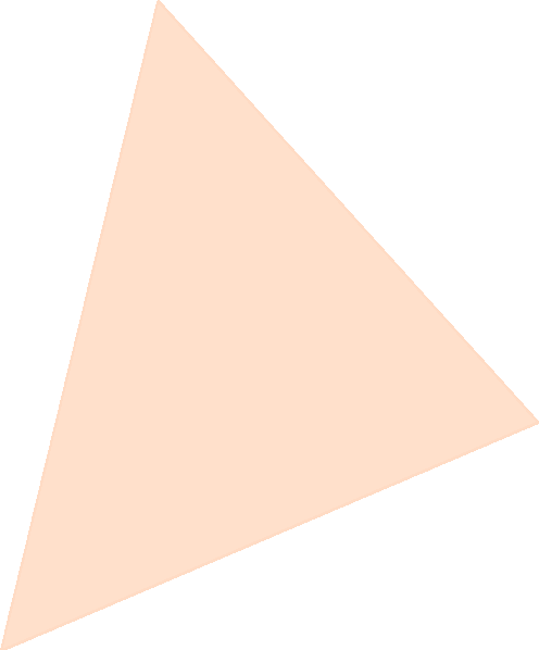 poligoni: il triangolo