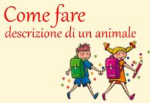 Come fare la descrizione di un animale