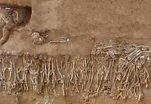 fossa comune di Hymera risalente al 409 a.C. (foto di Stefano Vassallo)