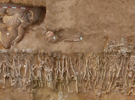 fossa comune di Hymera risalente al 409 a.C. (foto di Stefano Vassallo)