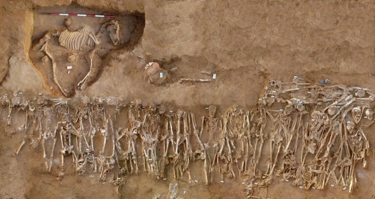 L’Università di Firenze scopre, con l’analisi genetica, che mercenari erano presenti nell’esercito greco dell’età classica