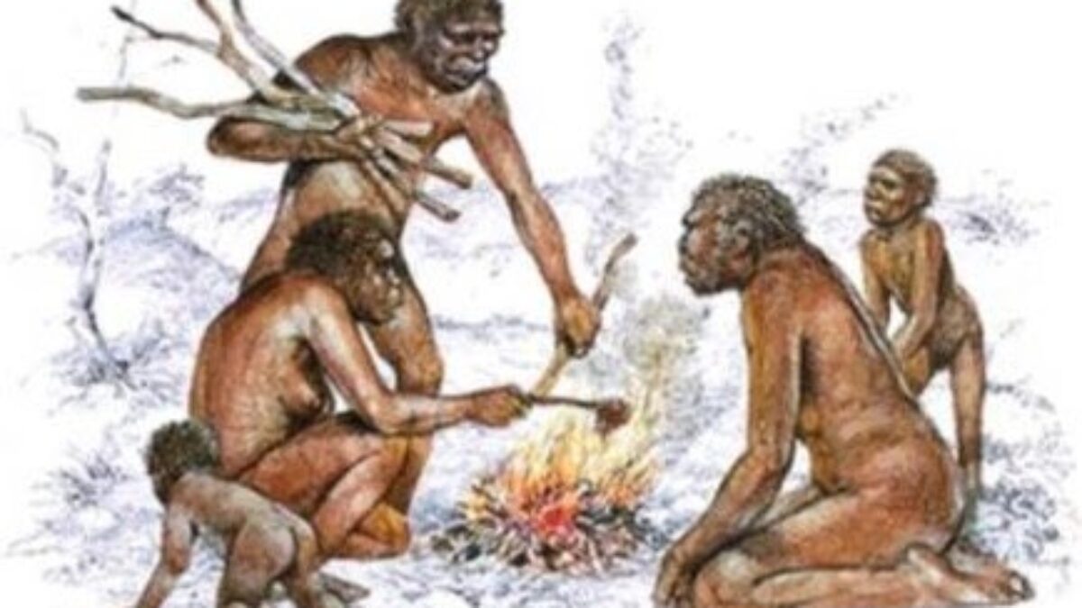 Homo ergaster e differenza con homo erectus - Studia Rapido