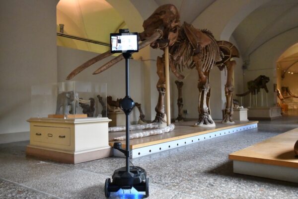 Tramite l'avatar si visitano le stanze del Museo