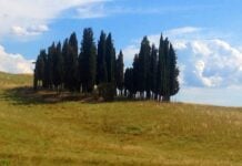 All ombra dei cipressi parafrasi e spiegazione
