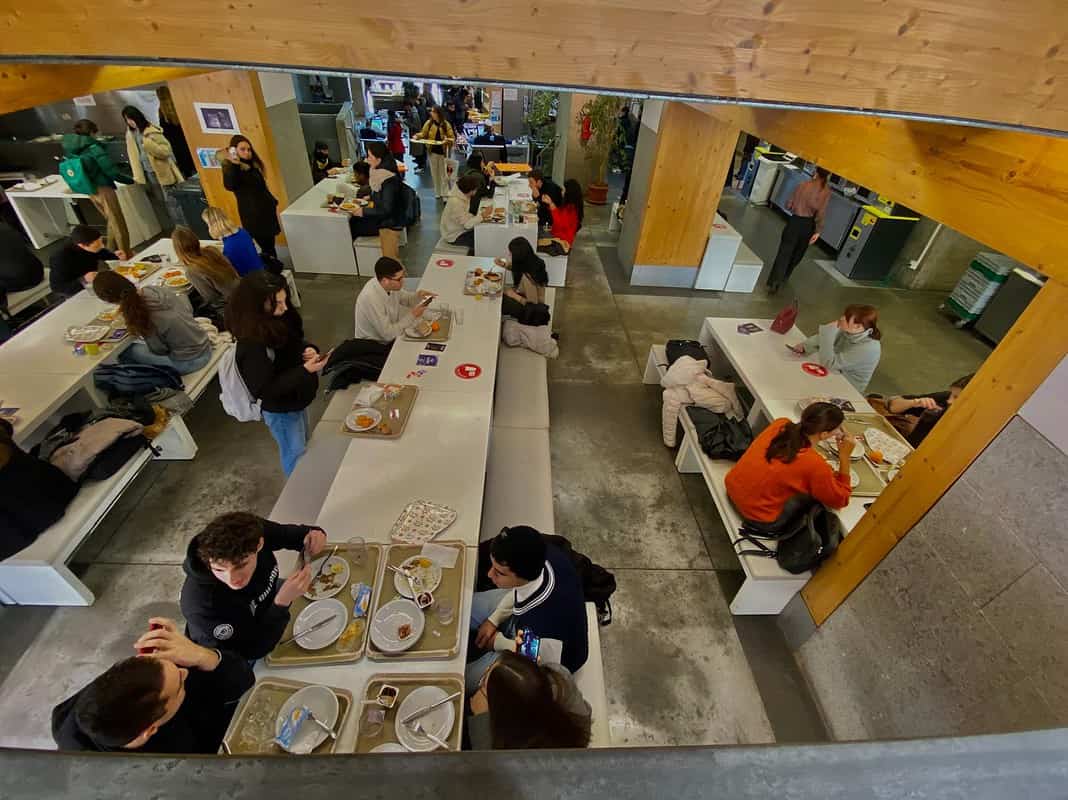 Spreco alimentare