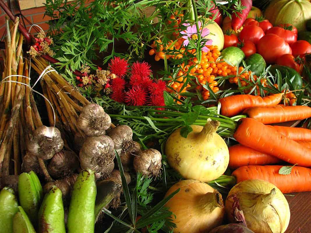 Che cos'è l'agricoltura biologica