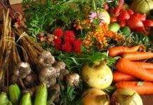 Che cos'è l'agricoltura biologica