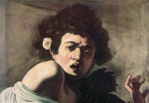 Ragazzo morso da un ramarro