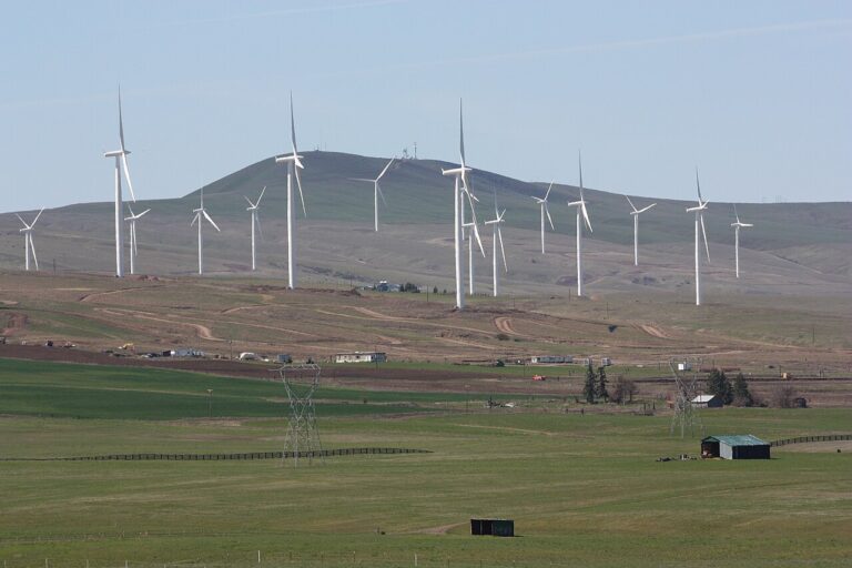 energia eolica