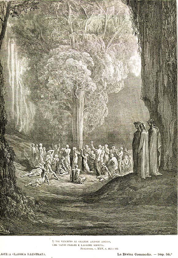 Canto 24 Purgatorio
