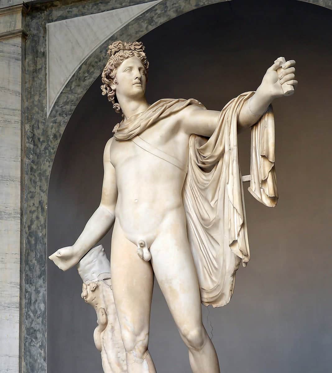 Apollo del Belvedere