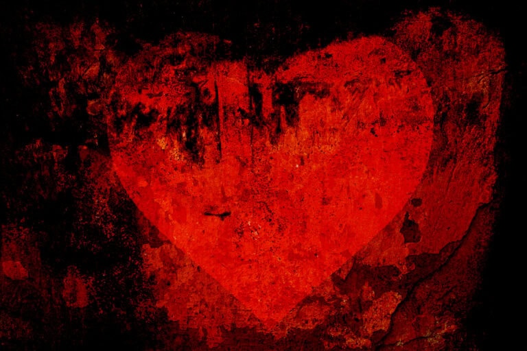 La novella del cuore mangiato
