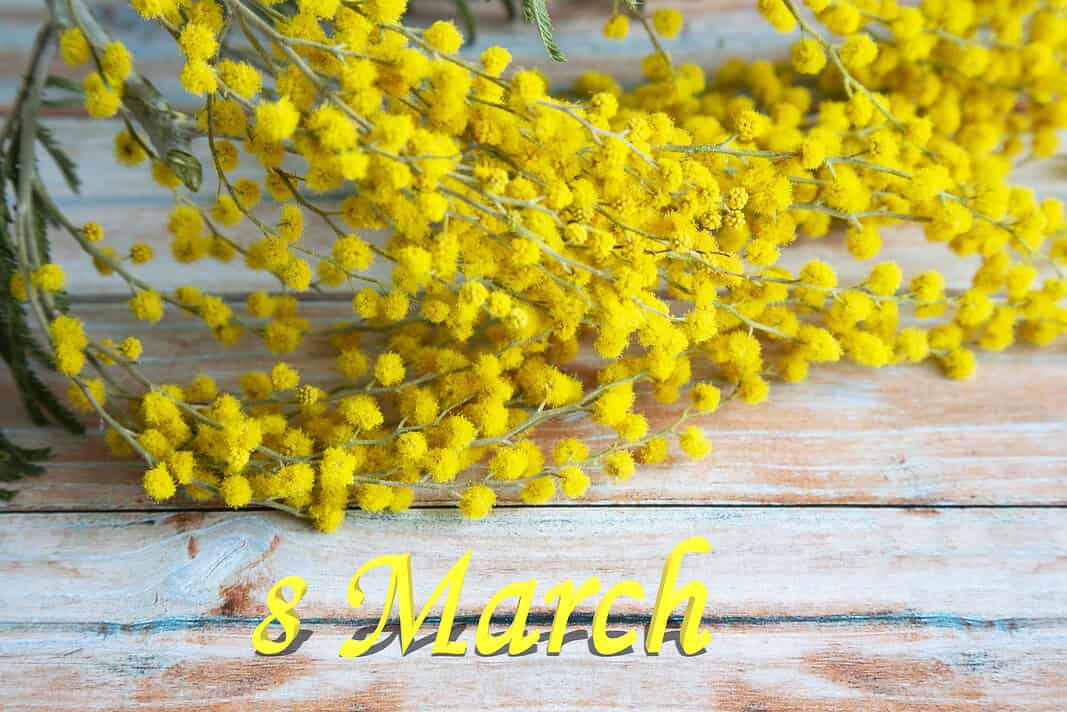 8 marzo festa della donna