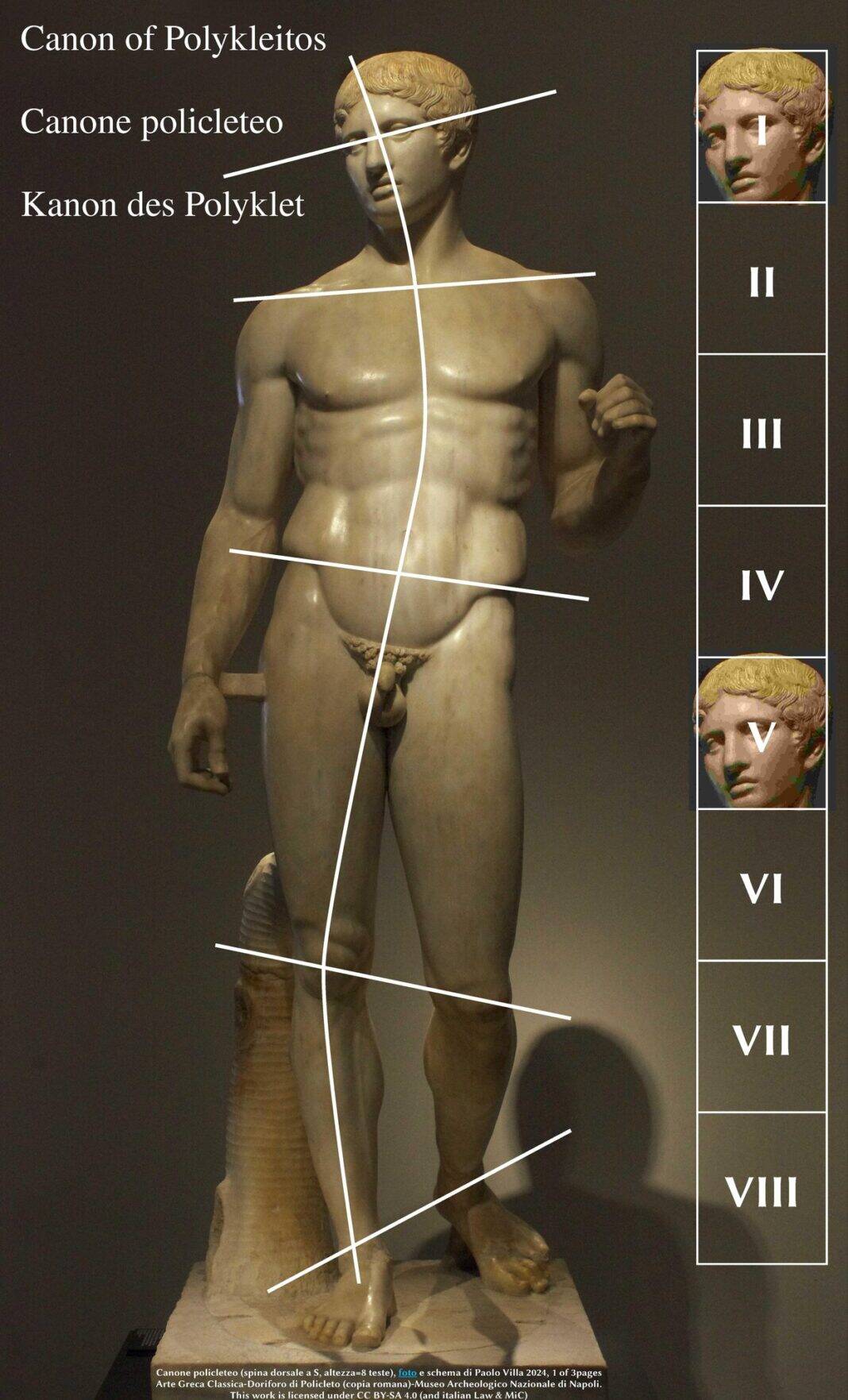 Canone di Policleto - schema